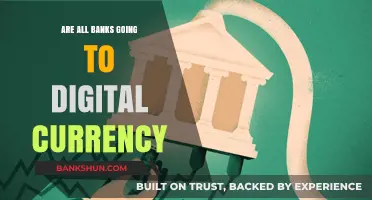 The Future of Banking: Digital Currency Transition