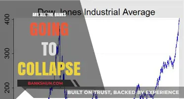 The Future of Banks: Will They All Collapse?