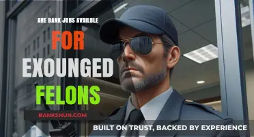 Ex-Felons Seeking Bank Jobs: What Are Their Options?