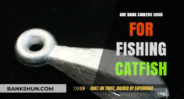 Best Catfish Rig: Bank Sinkers or Not?