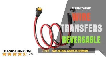 Reversing Bank Wire Transfers: Is It Possible?