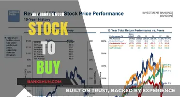 Should You Invest in Bank Stocks?