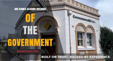 The Government's Role in Bank Closures: An Analysis