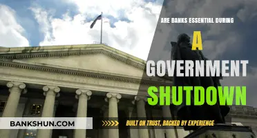 Banks: Shutdown-Proof?