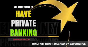 Private Banking: A Choice or Compulsion for Banks?