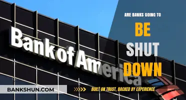 The Future of Banking: Shutdown or Evolution?