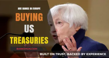 European Banks: Buying US Treasuries?
