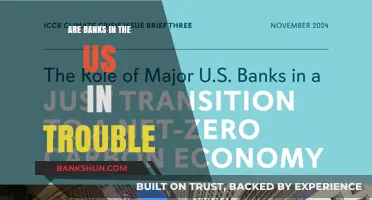 US Banks: Troubled Waters Ahead?
