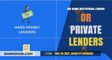 What Type of Lender Are Banks?