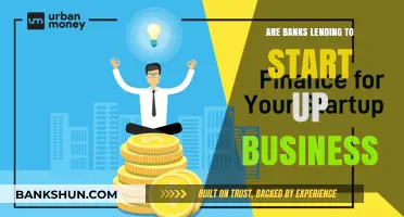 Lending to Startups: Banks' Approach to New Businesses