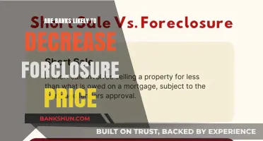 Banks' Foreclosure Strategies: Will Prices Drop?
