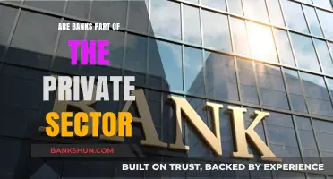 The Banking Industry: Private or Public Sector?