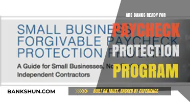 Banks' Preparedness for Paycheck Protection Program: A Reality Check