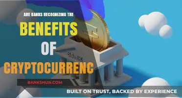 Banks Embrace Crypto: Benefits and Challenges