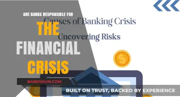 The Banks' Role in the Financial Crisis