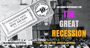 The Great Recession: Banks' Role and Responsibility