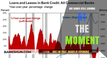 Lending in Uncertain Times: Are Banks Still Offering Loans?