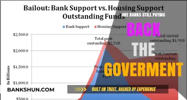 How Banks Repay Government Bailouts