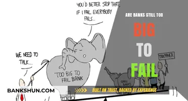The Banking System: Too Big to Fail?
