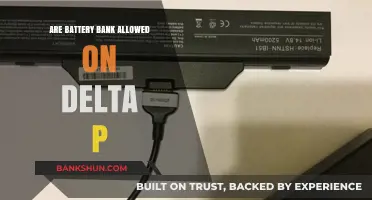 Are You Allowed to Bring Battery Banks on Delta Flights?