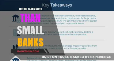 Big vs Small Banks: Which is Safer?