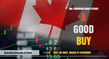Canadian Bank Stocks: A Smart Investment Move?