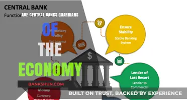 Central Banks: Economy Guardians or Influencers?