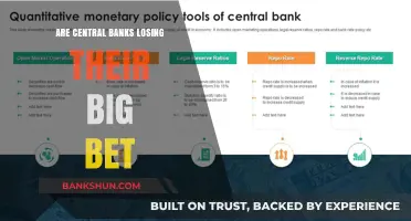 Central Banks: A Losing Gamble?