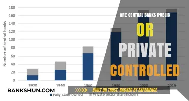 The Power of Central Banks: Public or Private Control?