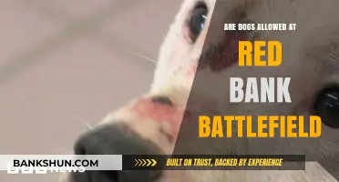 Exploring Red Bank Battlefield With Your Dog