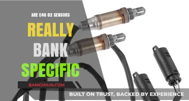 Sensors in E46 02: Bank-Specific or Universal?