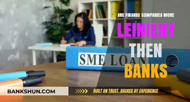 Finance Companies: More Lenient Than Banks?