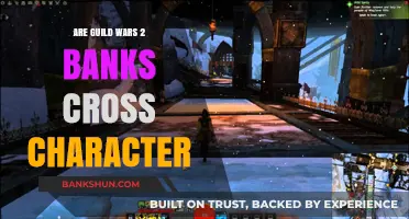 Guild Wars 2: Shared Bank Space Across Characters