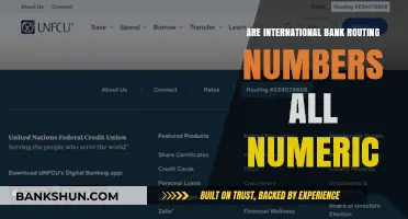 International Bank Routing: All-Numeric or Not?