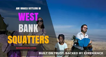 Who are the West Bank Settlers? Squatters or Not?