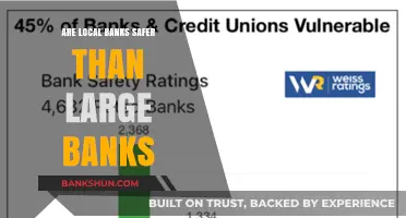 Local vs Large Banks: Which is Safer?