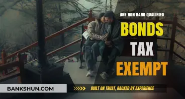 Non-Bank Qualified Bonds: Are They Tax-Exempt?
