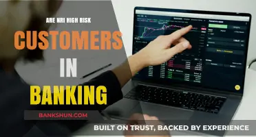 NRIs: High-Risk Banking Customers?