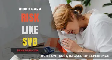 What Banks are at Risk of SVB's Fate?