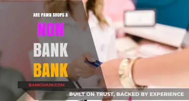 Pawn Shops: Banking Services Without the Bank