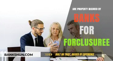 Insured Properties: Banks and the Foreclosure Process