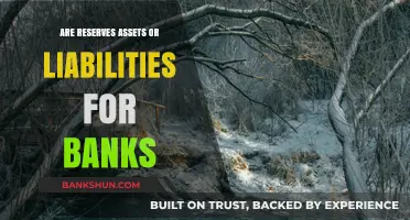 Bank Reserves: Assets or Liabilities?