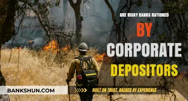 Risky Banks: Do Corporate Depositors Ration Credit?