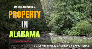 River Banks in Alabama: Who Owns Them?