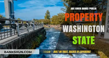 River Banks in Washington: Who Owns Them?