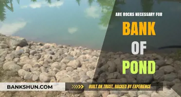 Why Rocks Are Essential For Pond Banks