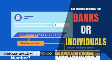 Routing Numbers: Bank Identifiers or Individual Account Numbers?