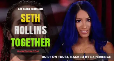 The Relationship Between Sasha Banks and Seth Rollins