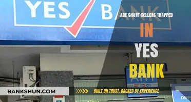 Short Sellers: Yes Bank's Trapped Bears