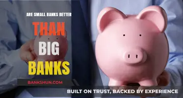 Small vs Big Banks: Who Wins?